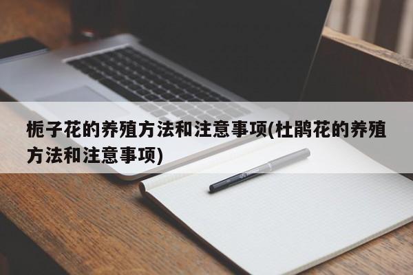 栀子花的养殖方法和注意事项(杜鹃花的养殖方法和注意事项)