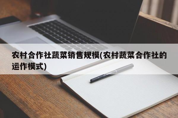 农村合作社蔬菜销售规模(农村蔬菜合作社的运作模式)