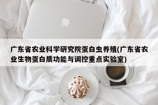 广东省农业科学研究院蛋白虫养殖(广东省农业生物蛋白质功能与调控重点实验室)